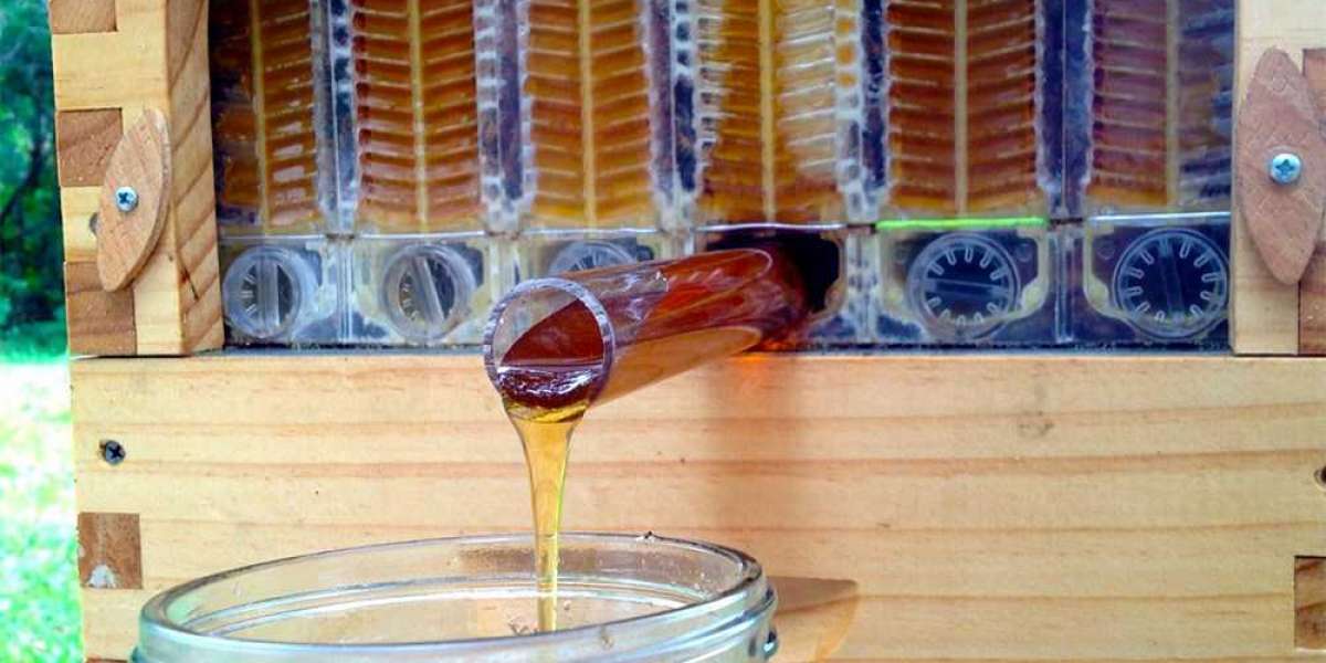 مناحل العسل في بورصة تركيا